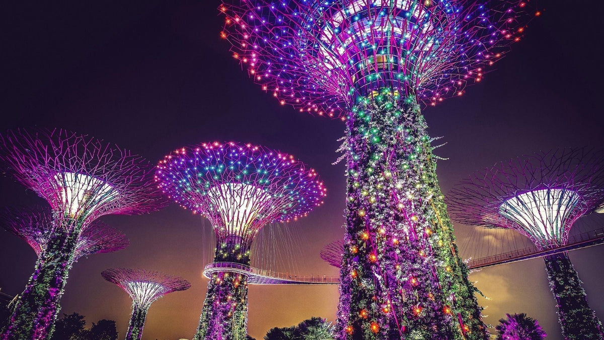 a photo of the Park featured in the movie Crazy Rich Asian, Gardens by the Bay at night