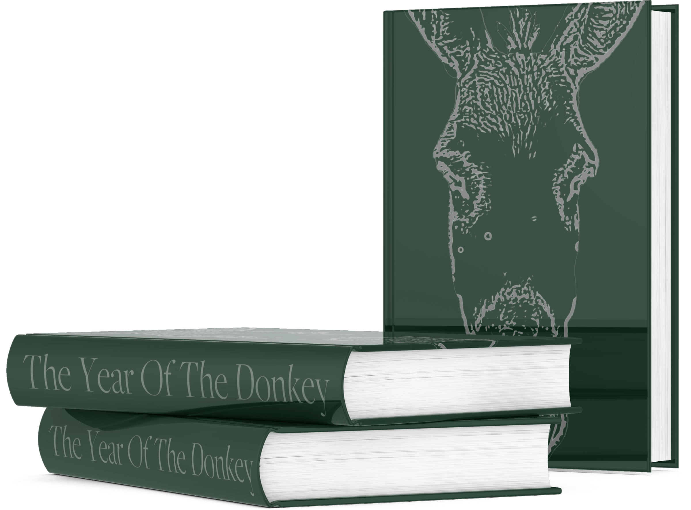 The Year Of The Donkey | A Photographic Coffee Table Book | charitable gift,christmas gift,coffee table book,photobook | Inhérent
